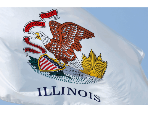 How to Access Your Illinois Driving Record Online: A Step-by-Step Guide